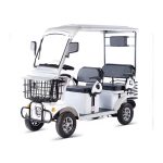 Carrito Eléctrico Th-Fw01 800w 48v/20ah