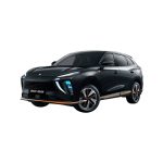 Dongfend Fengxing Trueno 2025 SUV 100% Eléctrico