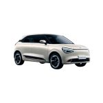 Dongfeng Nano 2025 100% Eléctrico