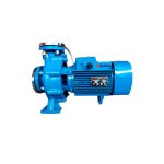 Bomba Centrífuga Gotze Alta Pres. TS80-65-250B